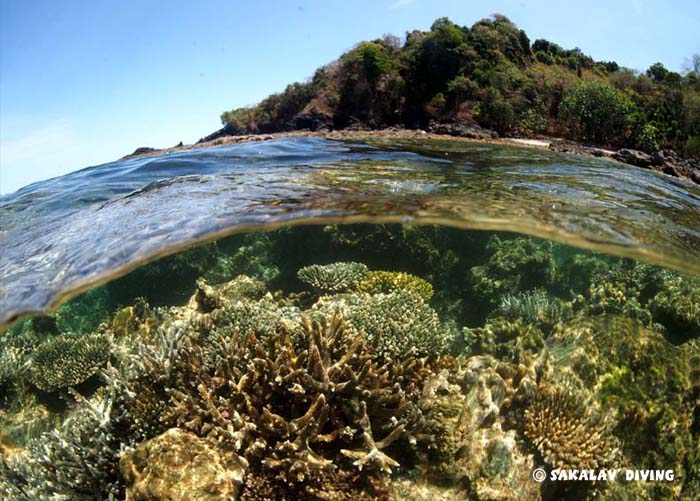 packages diving hotel in Nosy Be